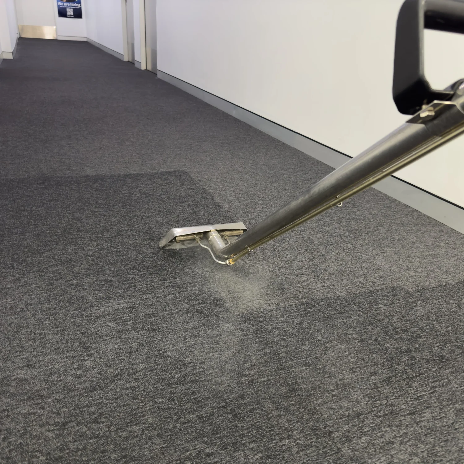 Steam cleaning & water extraction — Scrub Hub work photo
